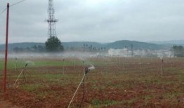 沾益最新爆料,揭秘神秘事件背后的惊人真相