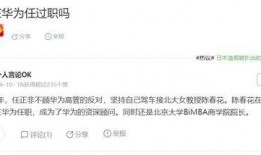 陈春花最新爆料信息,揭秘企业成功之道与行业变革趋势