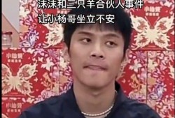 辛巴爆料三只羊最新消息,揭秘三只羊背后的故事与未来动向