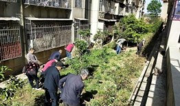 沾益最新爆料,揭秘神秘事件背后的惊人真相