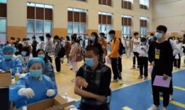 碧桂园爆料最新消息老莫,揭秘老莫背后的商业帝国！”