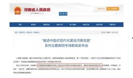 南阳头条最新爆料,最新爆料事件深度解析