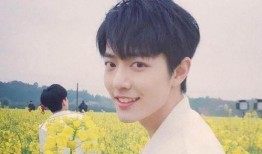 杨紫和肖战最新爆料小说,笑翻你的2024