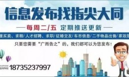 中国国安局最新爆料电话,中国国安局最新披露间谍活动内幕